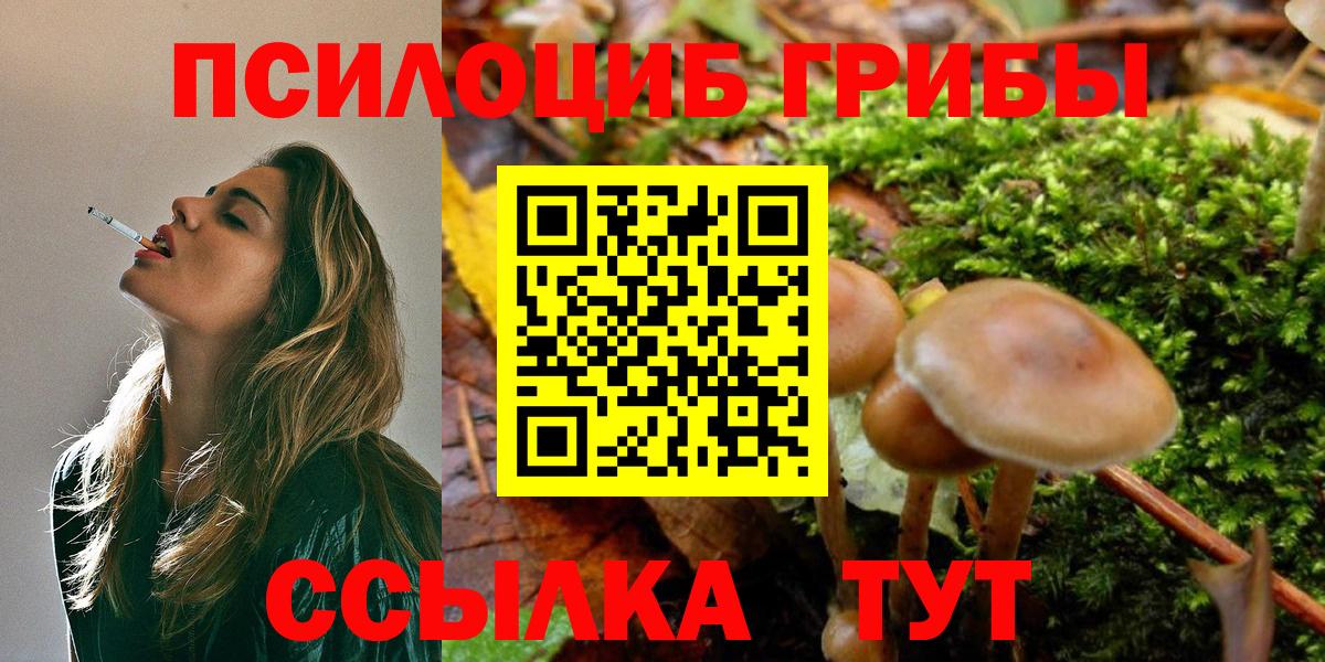 Галлюциногенные грибы ЛСД  Вход с VPN  Галлюциногенные грибы Psilocybe  Майкоп 