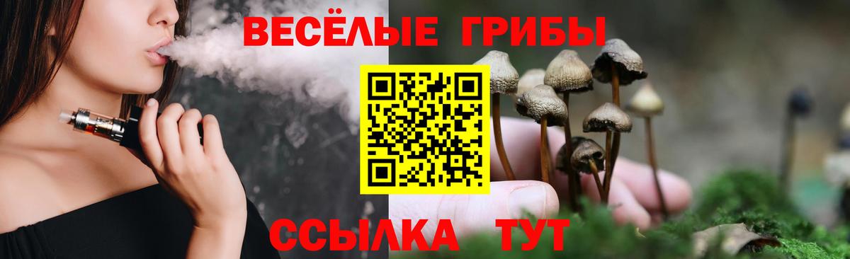 Галлюциногенные грибы мухоморы Майкоп
